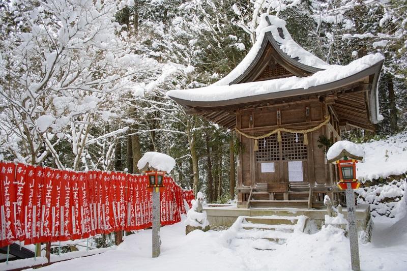 Pourquoi partir en hiver au Japon ?