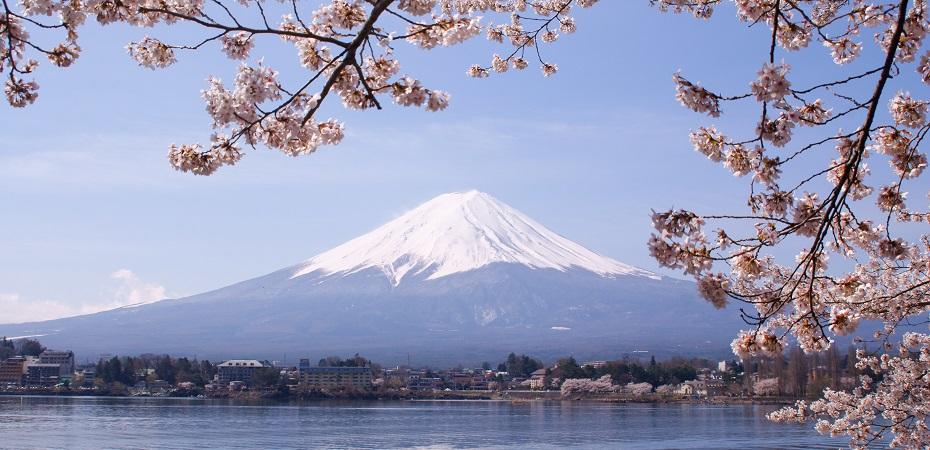 A quelle période de l'année partir au Japon ?