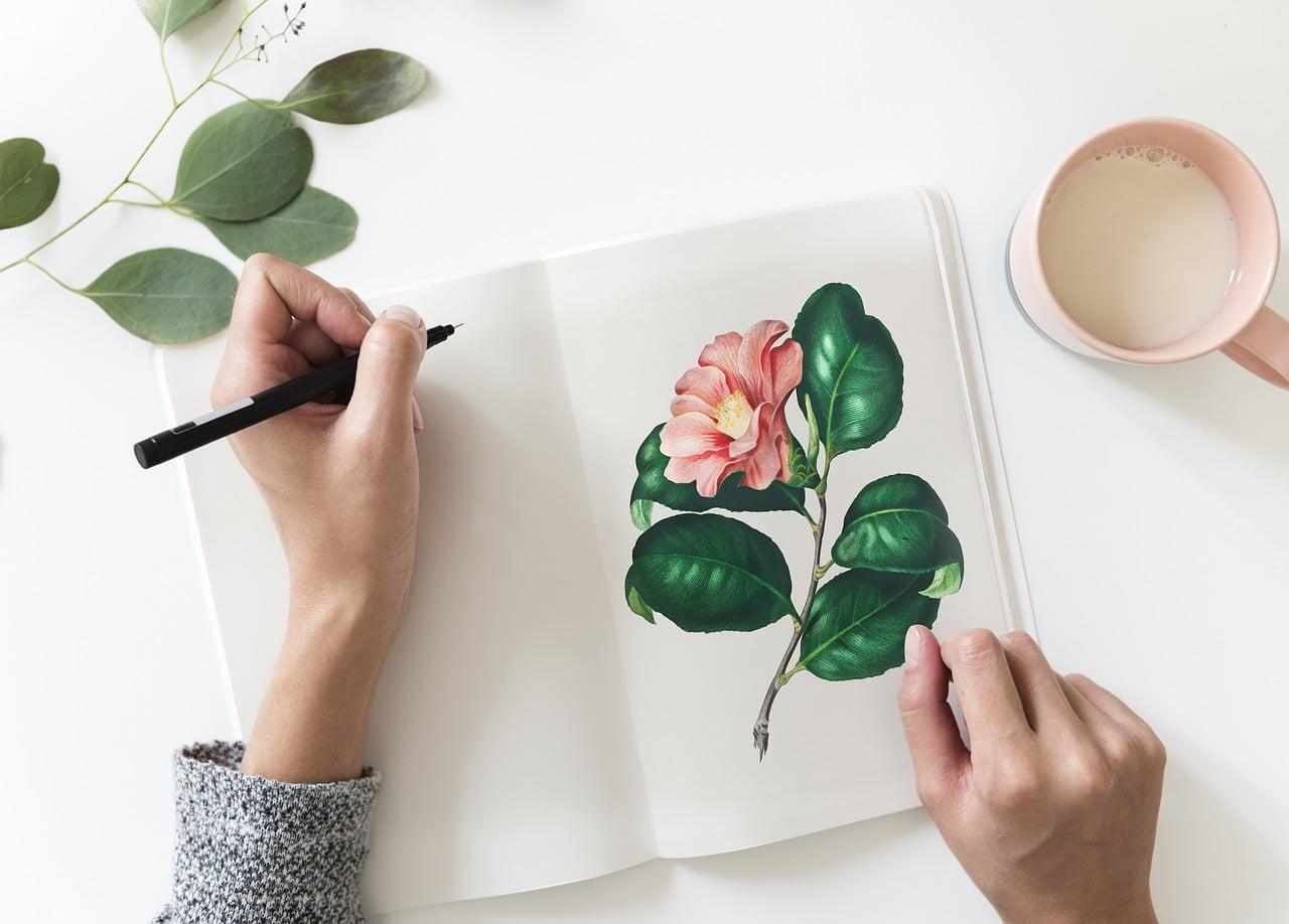 Comment apprendre à dessiner plusieurs genres de dessins ?
