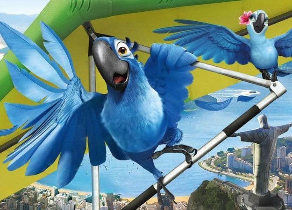 Que faire à Rio de Janeiro ?