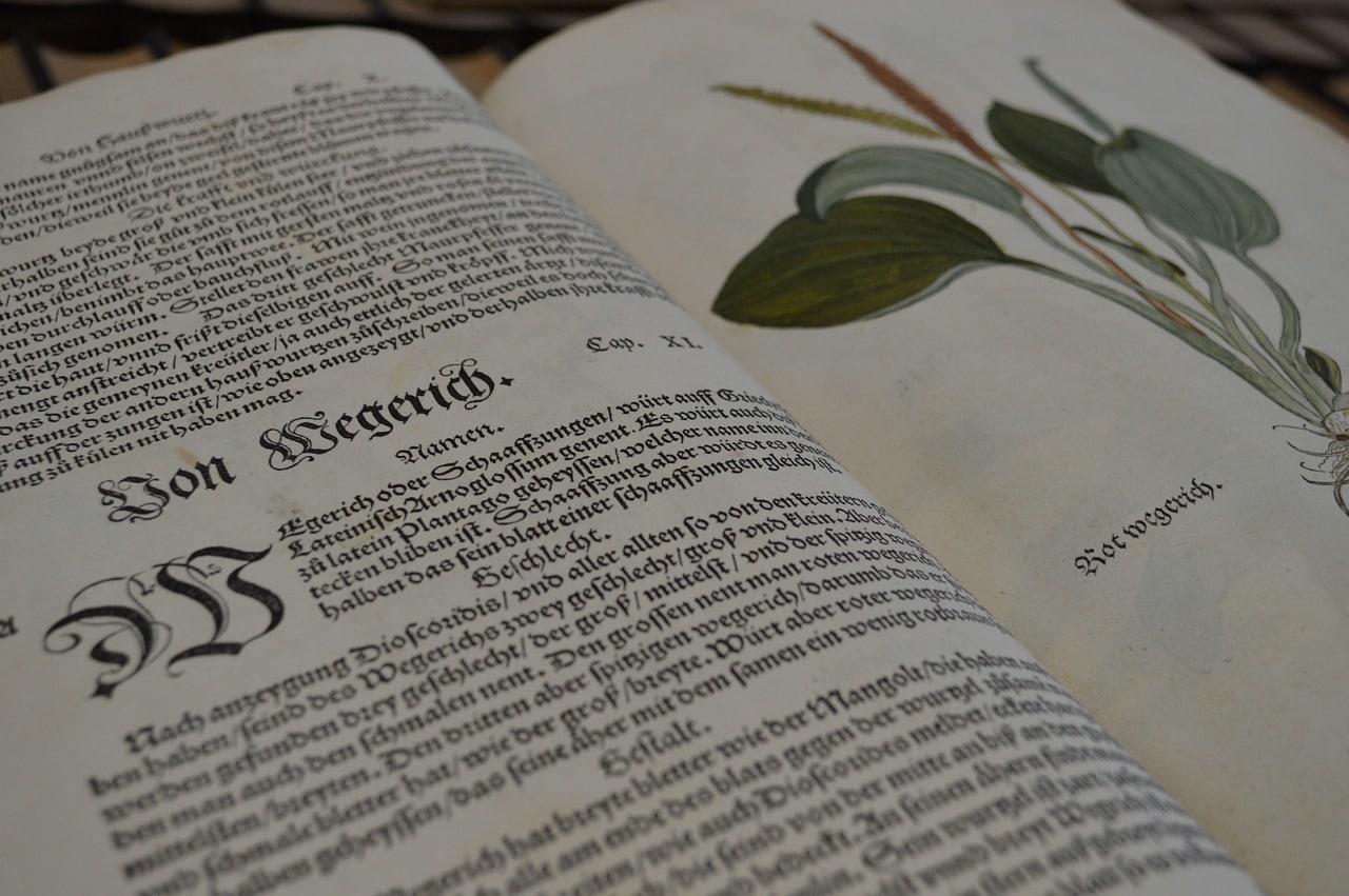 Comment apprendre le latin ? 