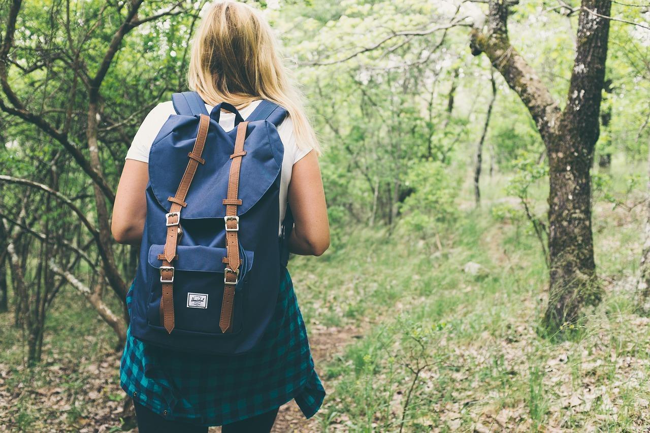 Comment réussir ses choix d'orientation ? 