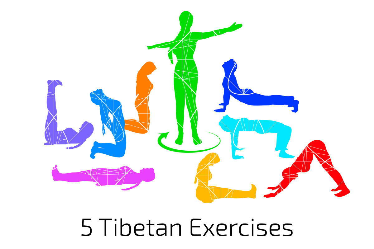 Pourquoi y a t il cinq exerices de yoga tibetains ?