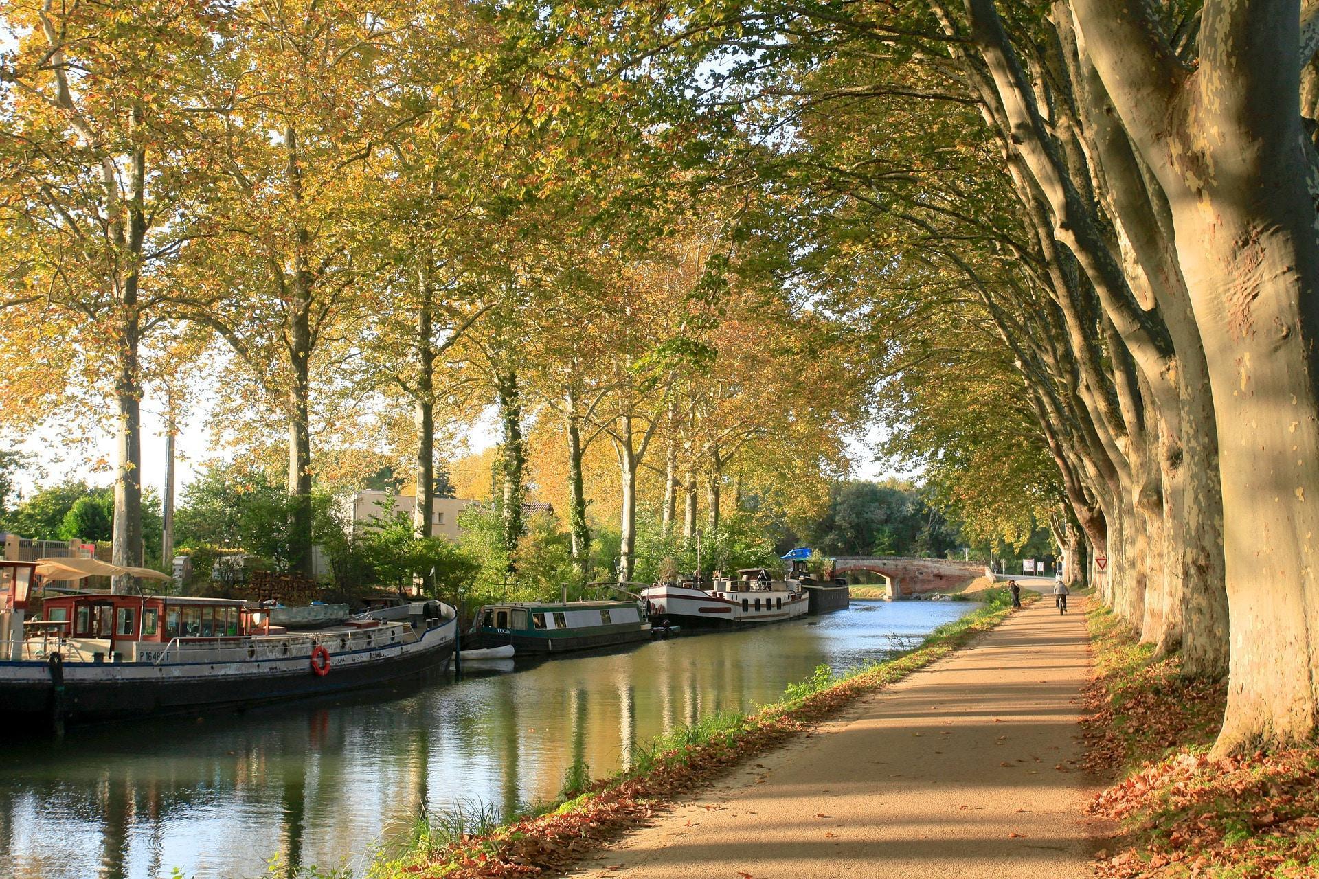Comment apprendre la langue latine à Toulouse ?