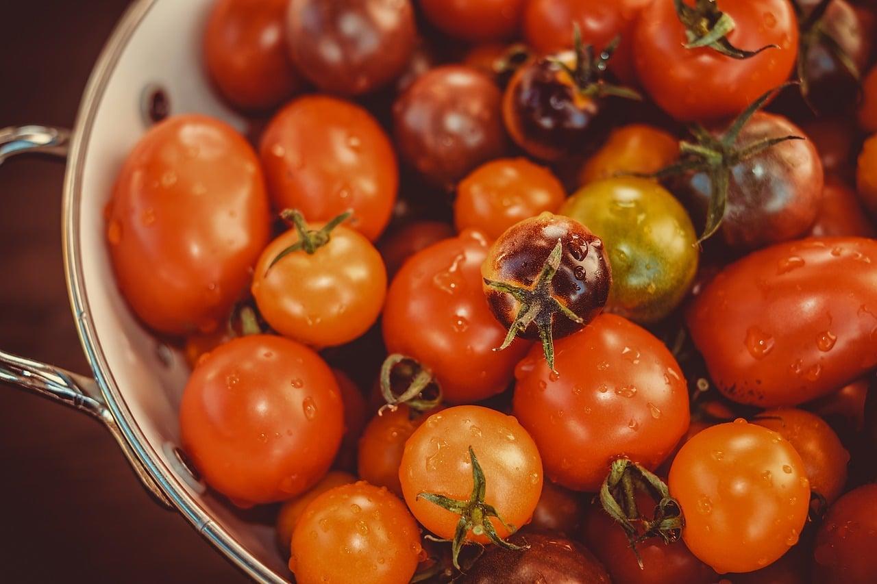 Quels céréales peuvent être utilisées dans un régime sans gluten ?