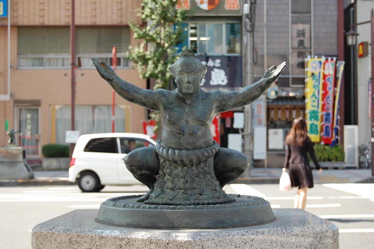 Quelles sont les choses à savoir avant d'assister à un combat de Sumo au Japon ?