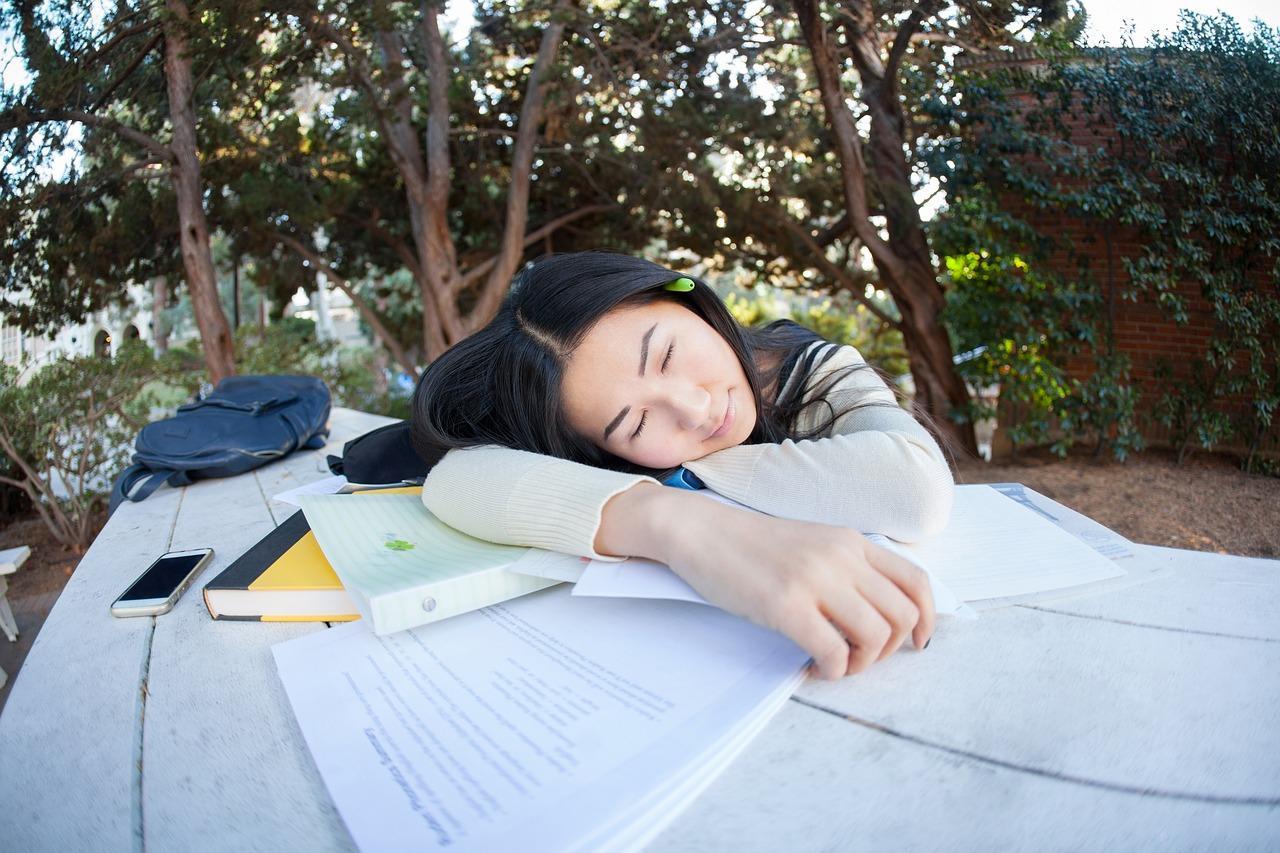 Pourquoi les jeunes ne doivent pas sortir du système scolaire sans diplôme ?