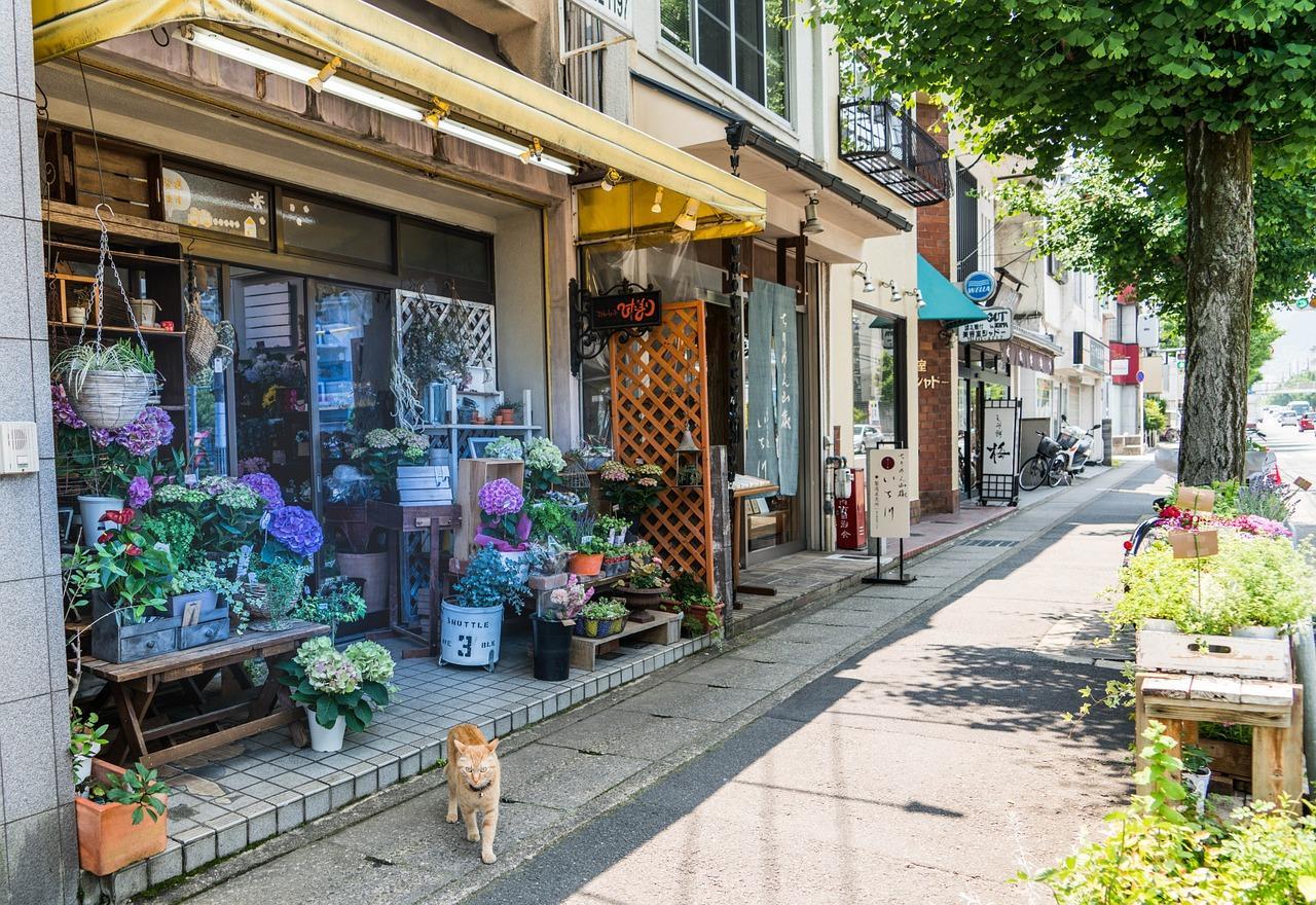Quel est le meilleur quartier pour loger à Kyoto ?