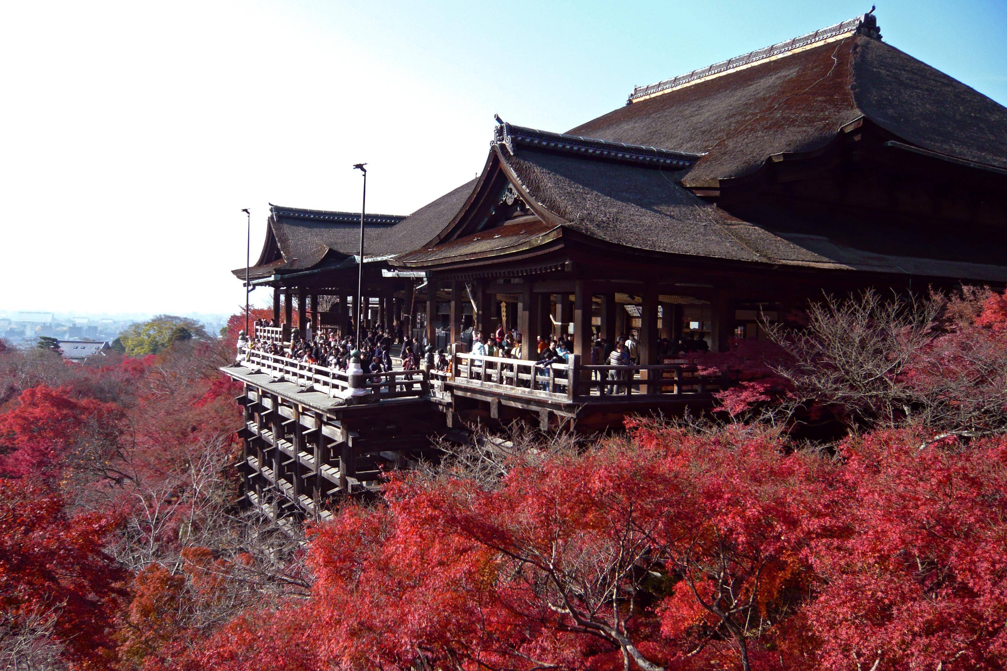 Quels sont les astuces à connaître pour faire la visite de Kyoto ?