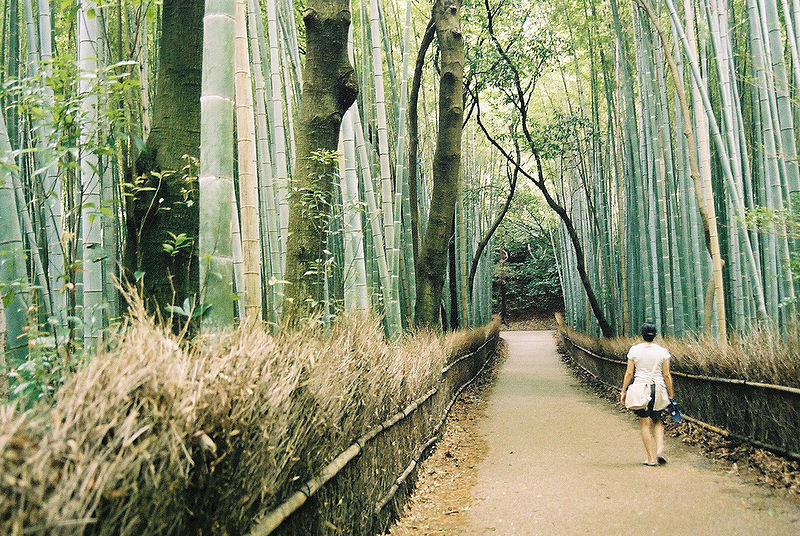 Dans quels quartiers vaut-il mieux résider pour un voyage à Kyoto ?