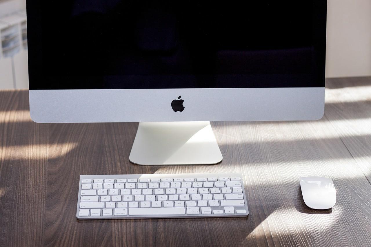 Sur quelles plateformes devenir boxeur ? 