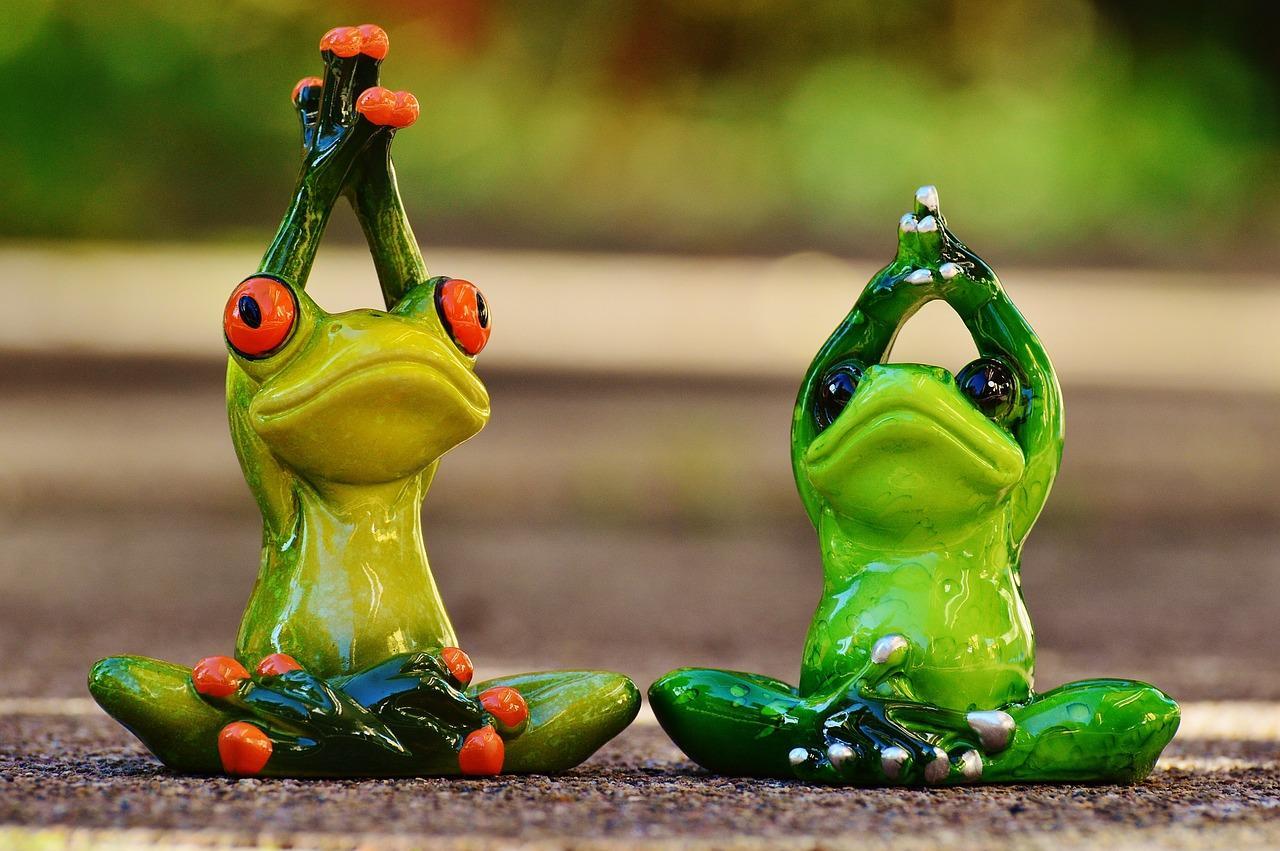 A qui sont destinés les cours de yogathérapie ?