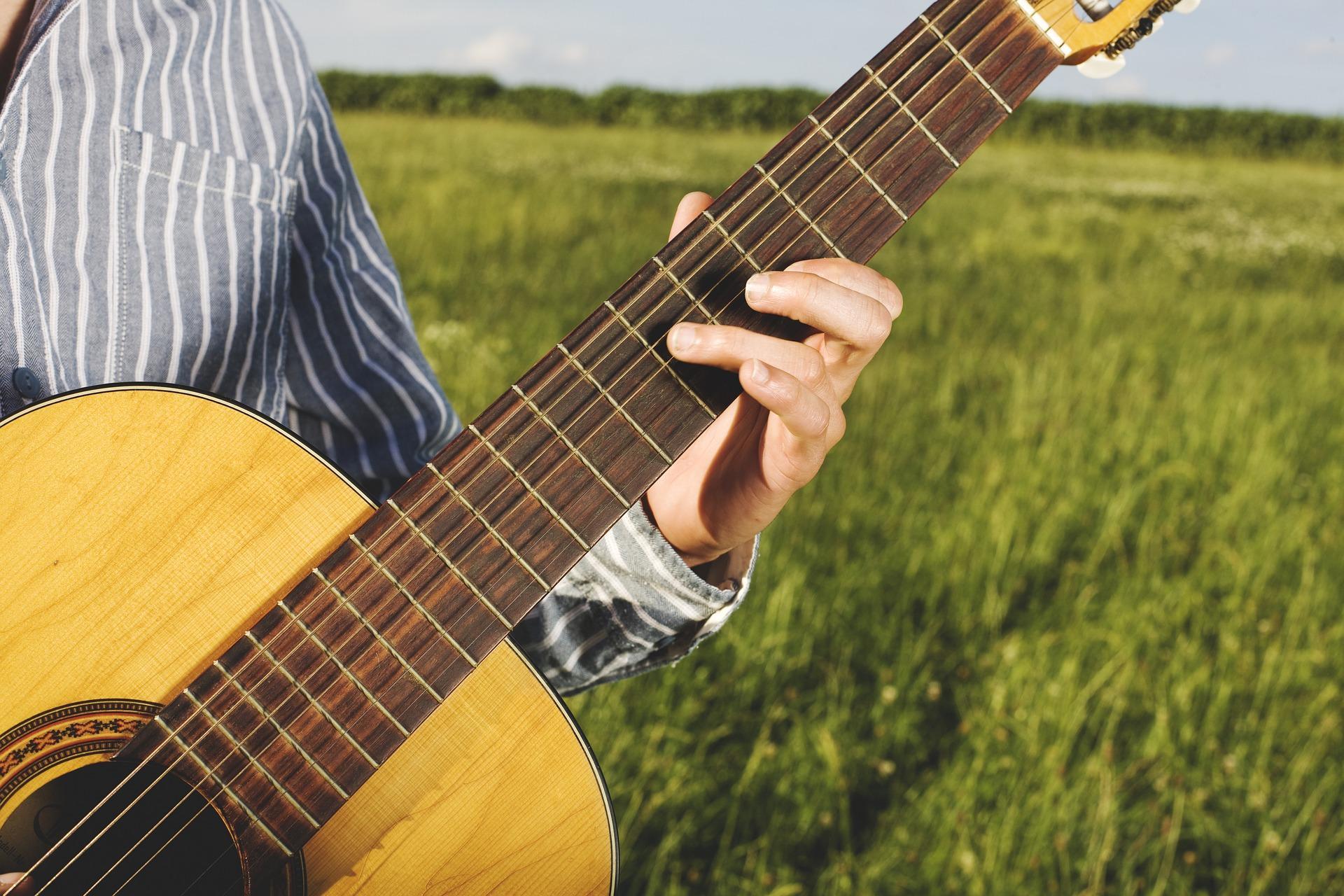 Quels sont les différents types d'instruments à cordes ?