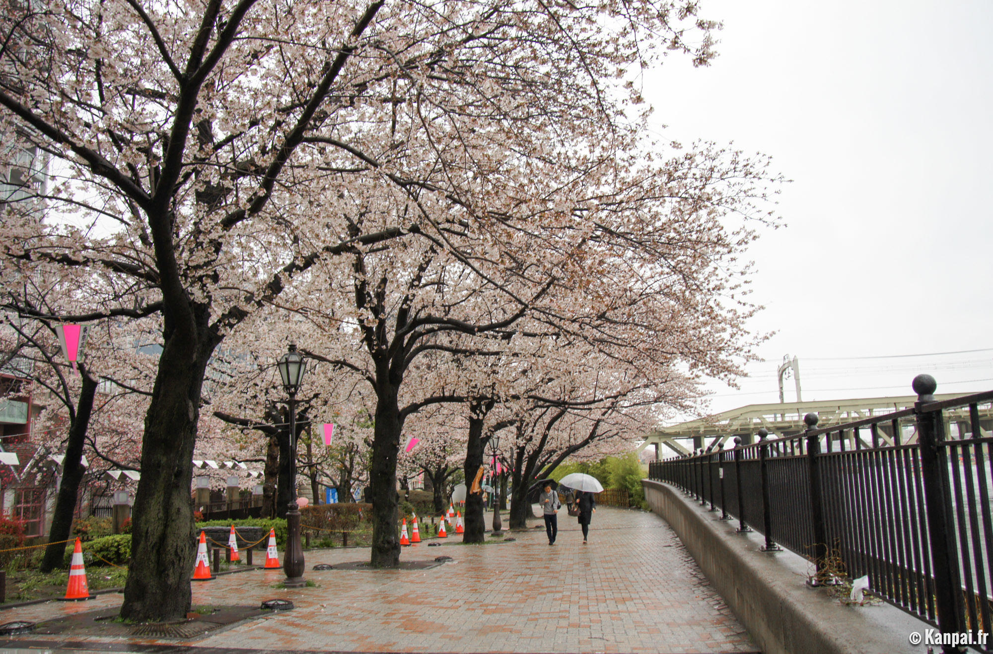 Quels parcs faut-il visiter dans la capitale nippone ?