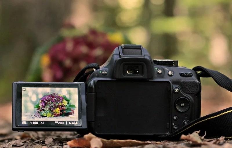 Choisir un viseur ou un écran lcd ?