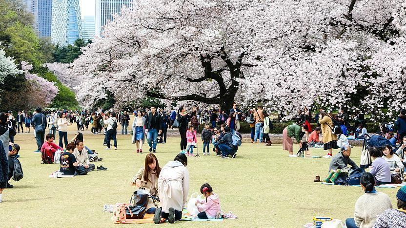 Quels sont les parcs et jardins à voir dans la capitale japonaise ?