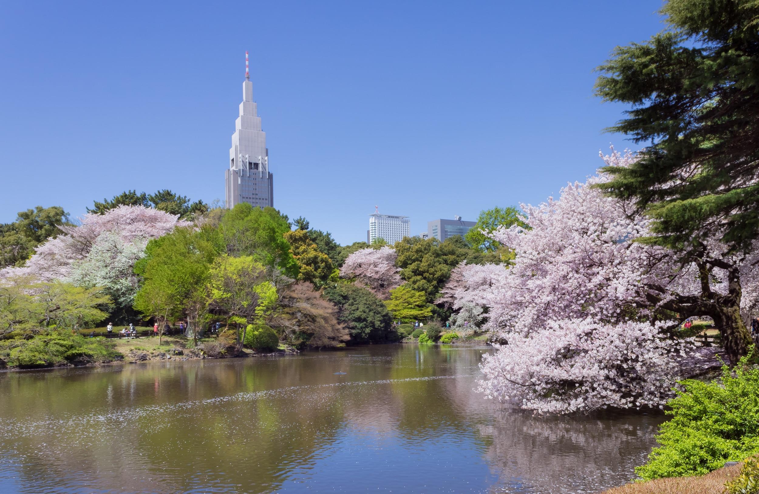 Quels sont les meilleurs parcs de Tokyo ?
