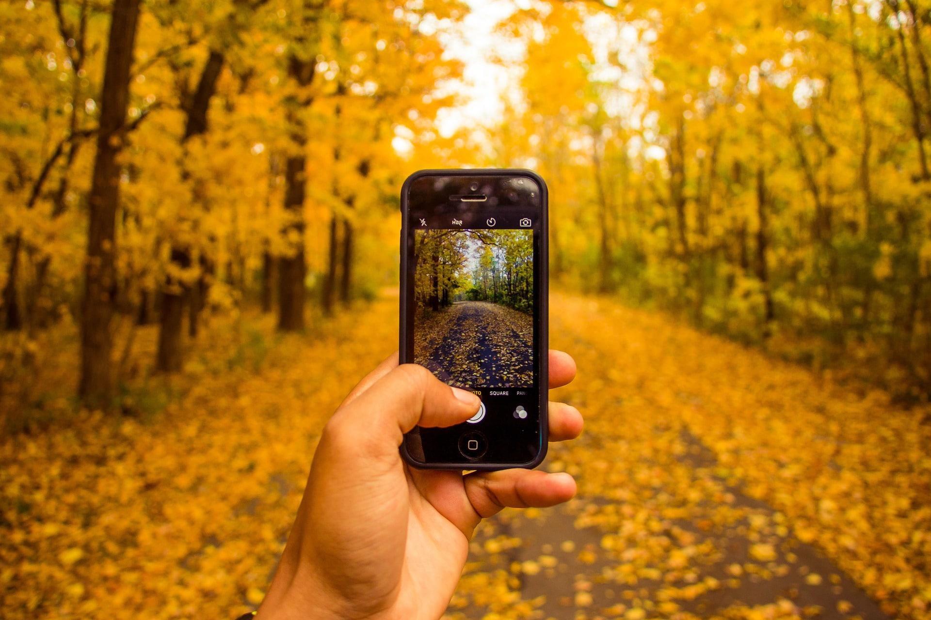 Quels sont les filtres les plus efficaces sur smartphone ?