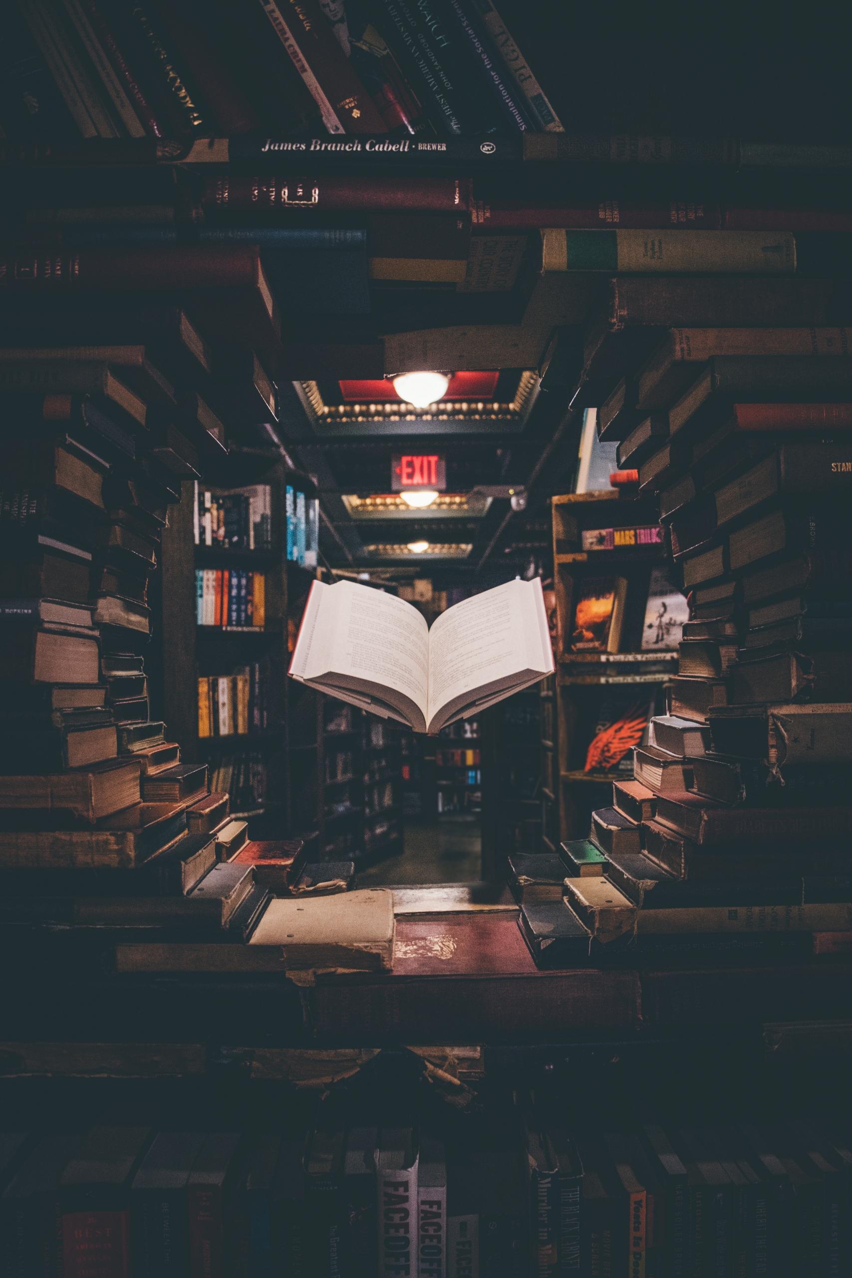 Un livre au milieu de centaines d'autres ouvrages littéraires