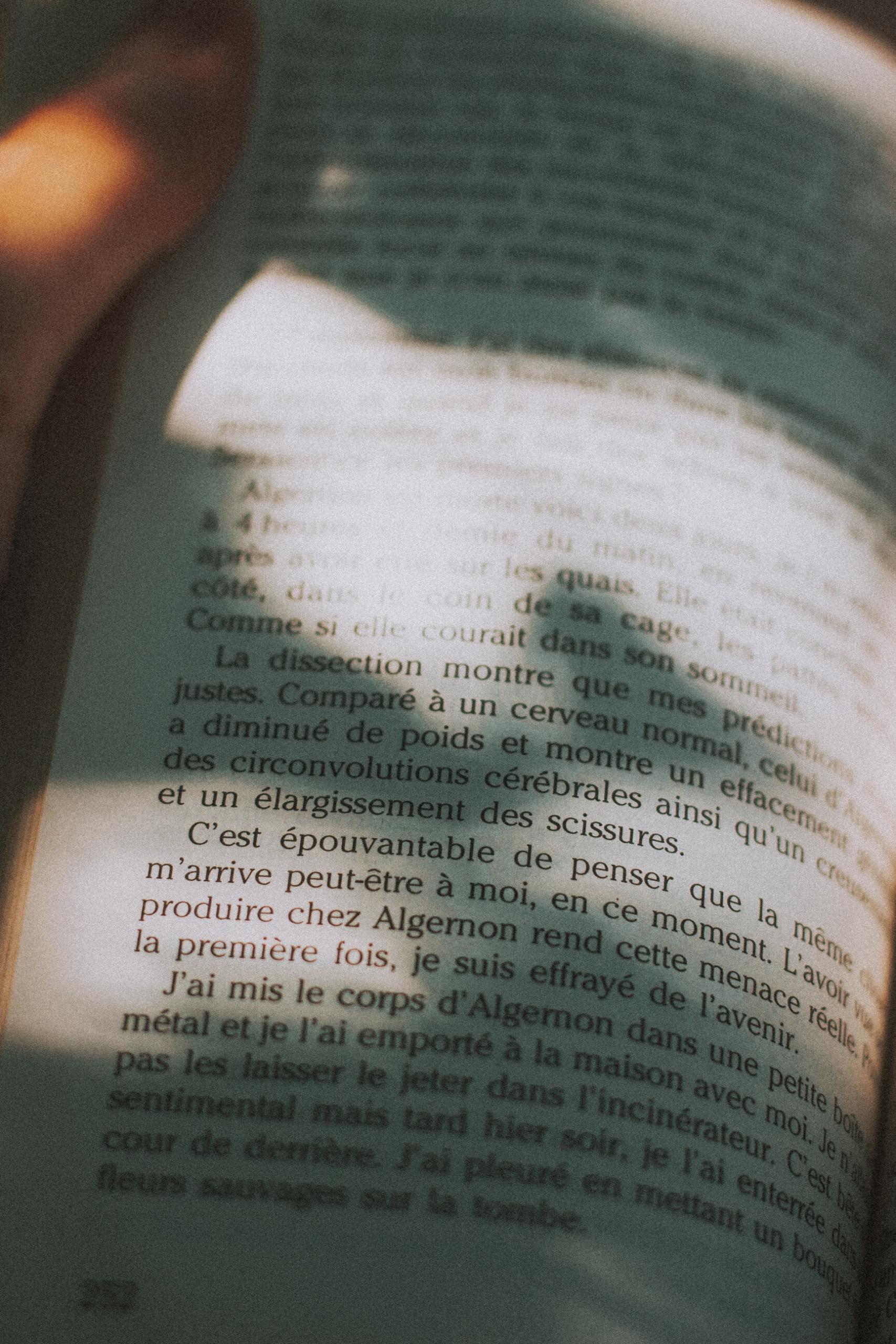 Un livre en français ouvert.