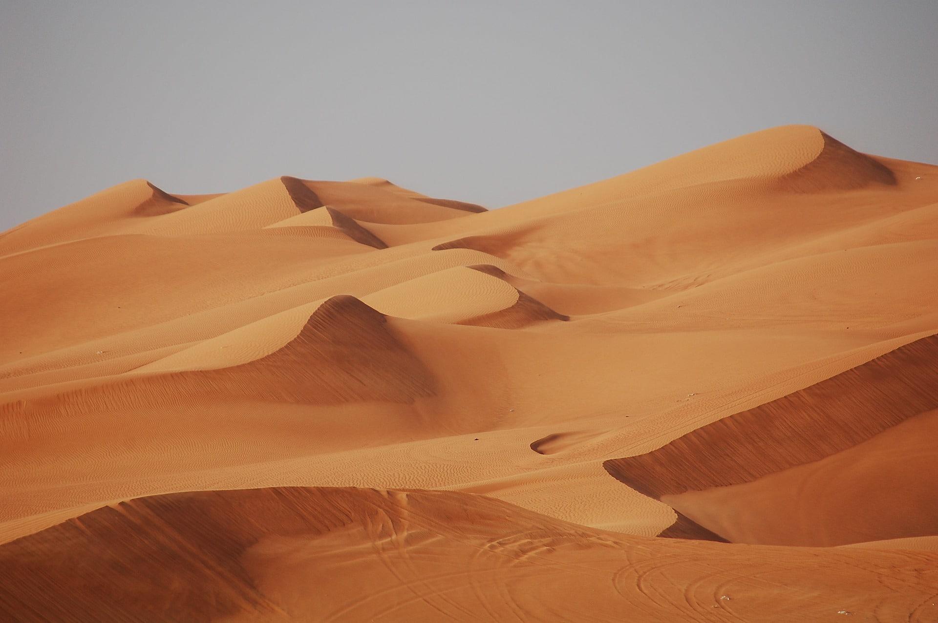 Que faut-il faire à Dubaï ?