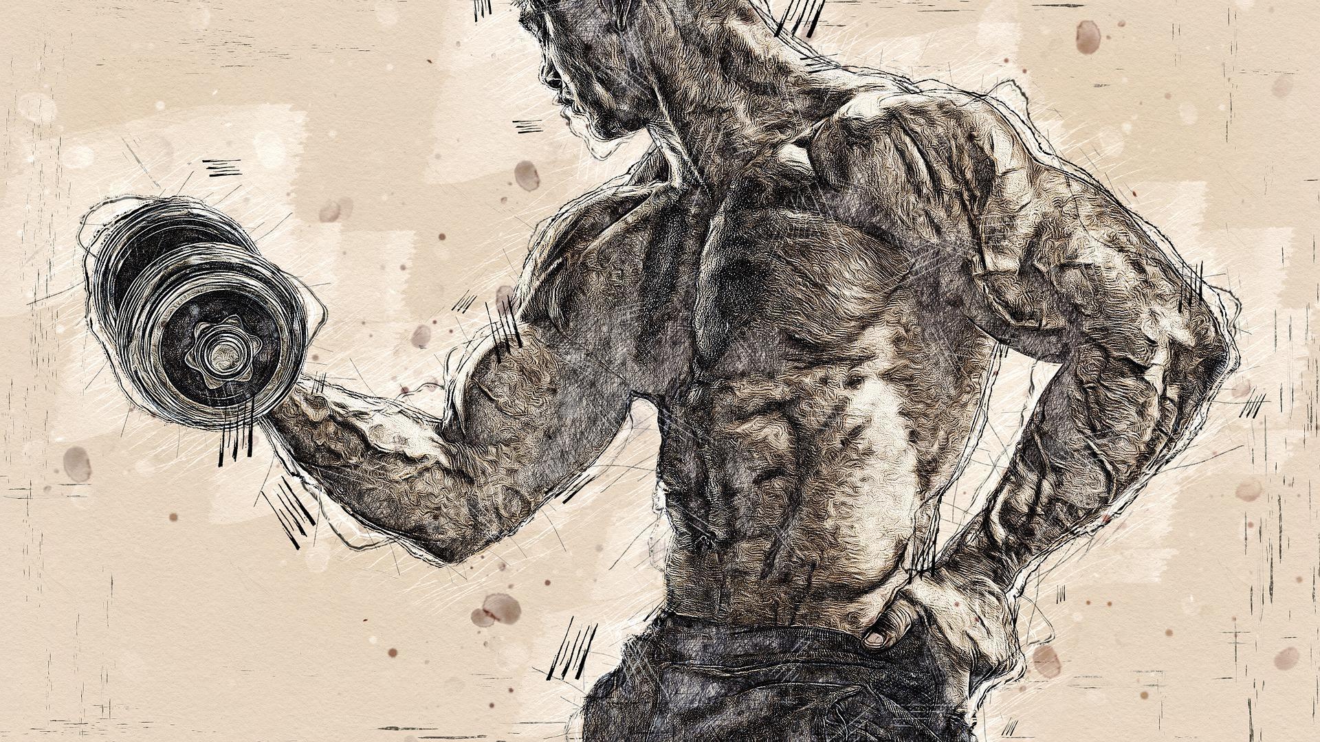 Quels sont les avantages de s'inscrire en salle de sport ?