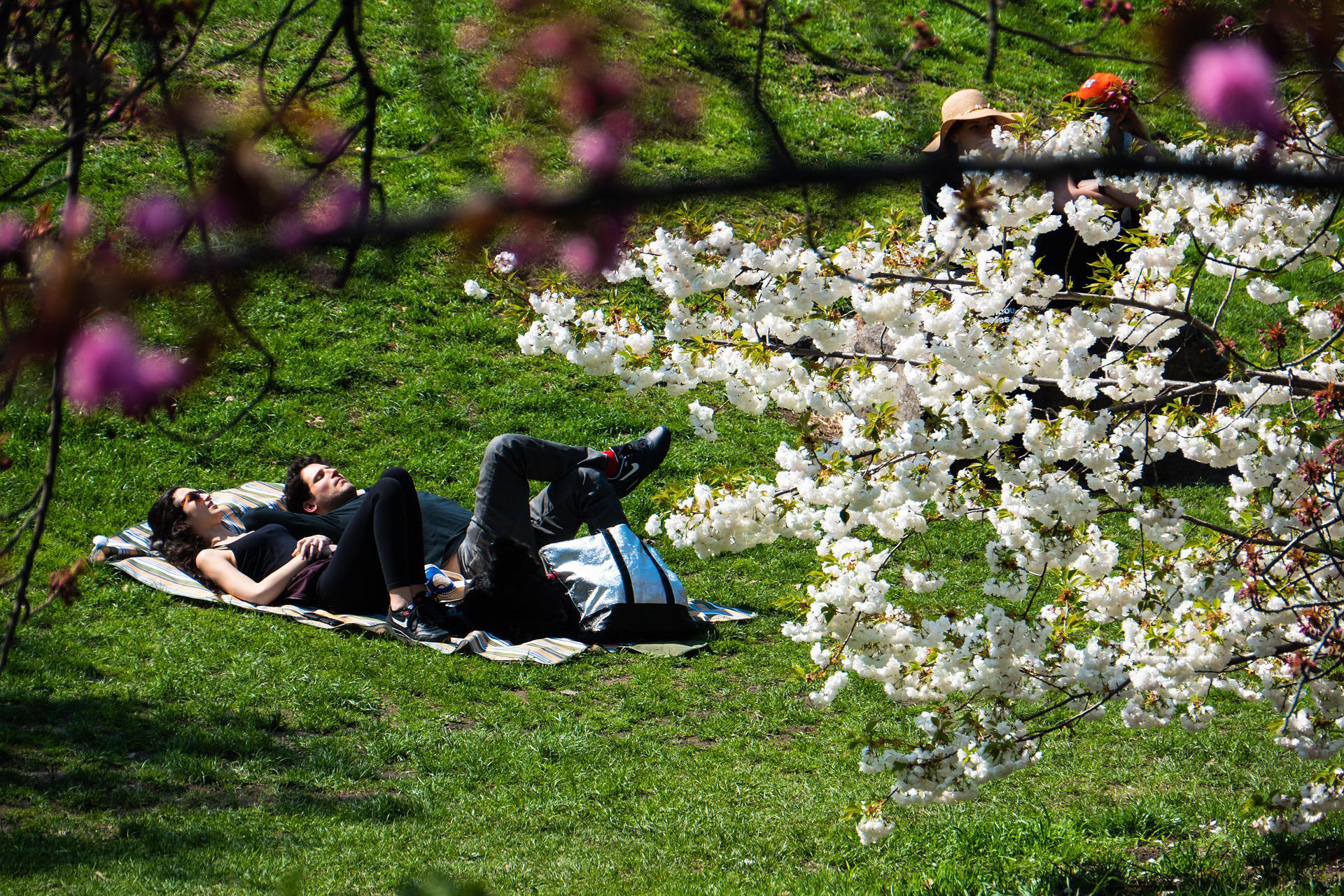 Combien de jours faut-il pour bien visiter Dublin ?