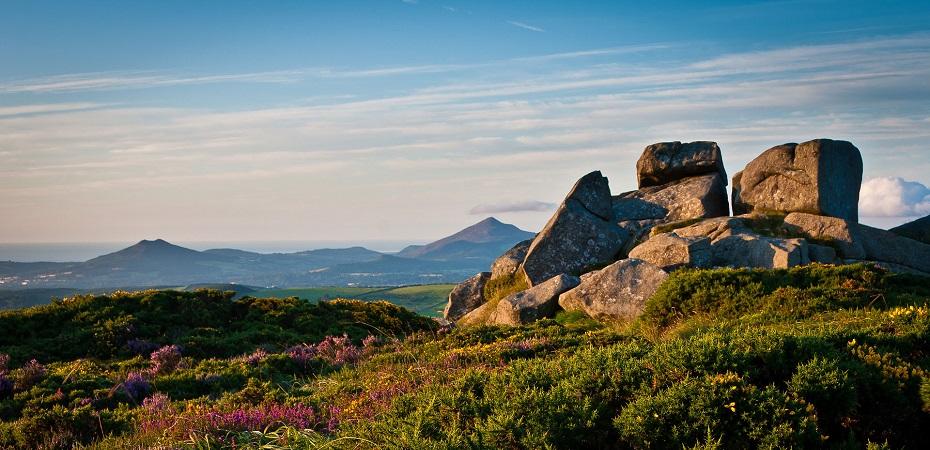 Quelles sont les particularités de l'Irlande ?