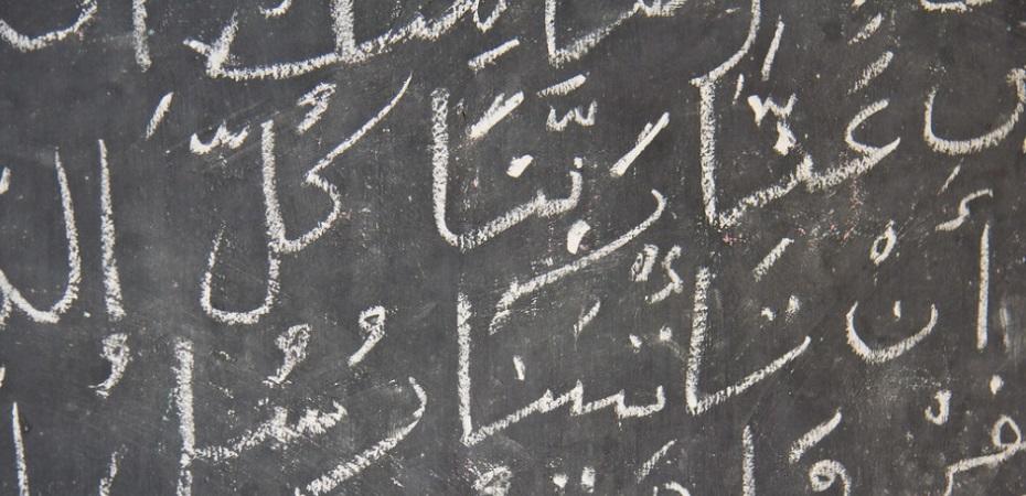 Quel parcours choisir pour étudier l'arabe ?
