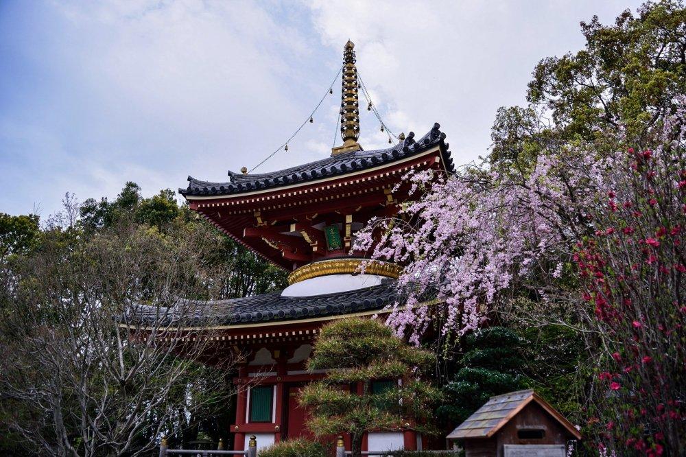 Pourquoi visiter l'île de Kyushu ?