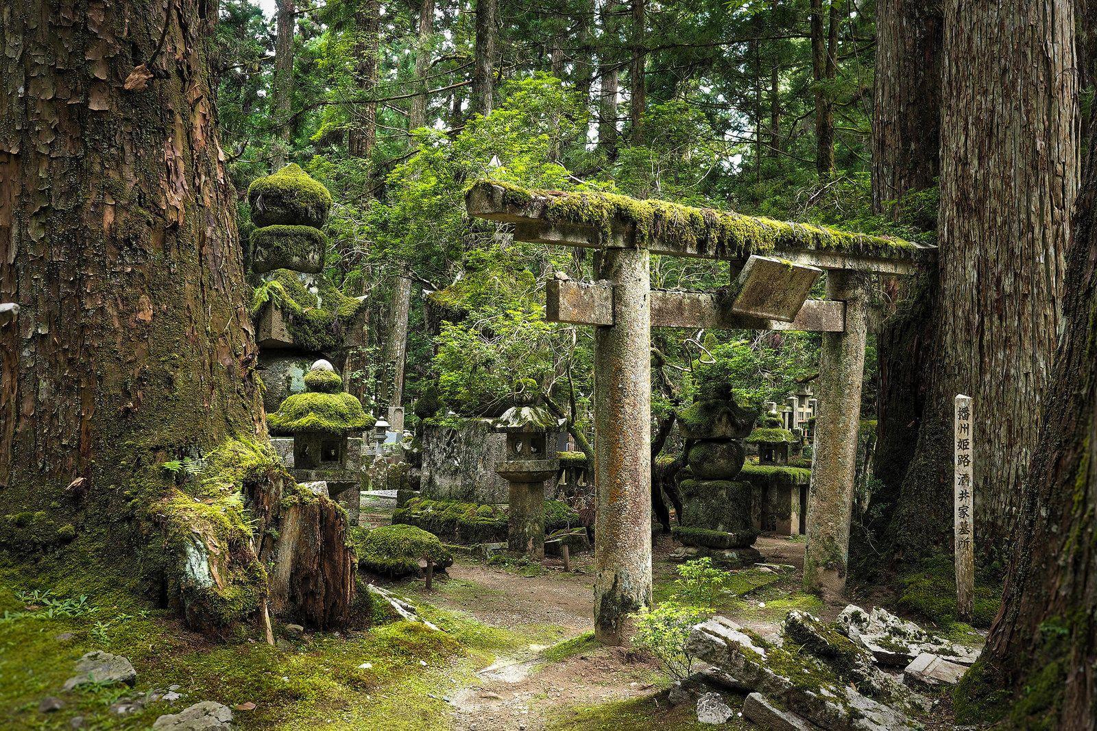 Quelles sont les activités à faire dans l'île japonaise de Shikoku ?