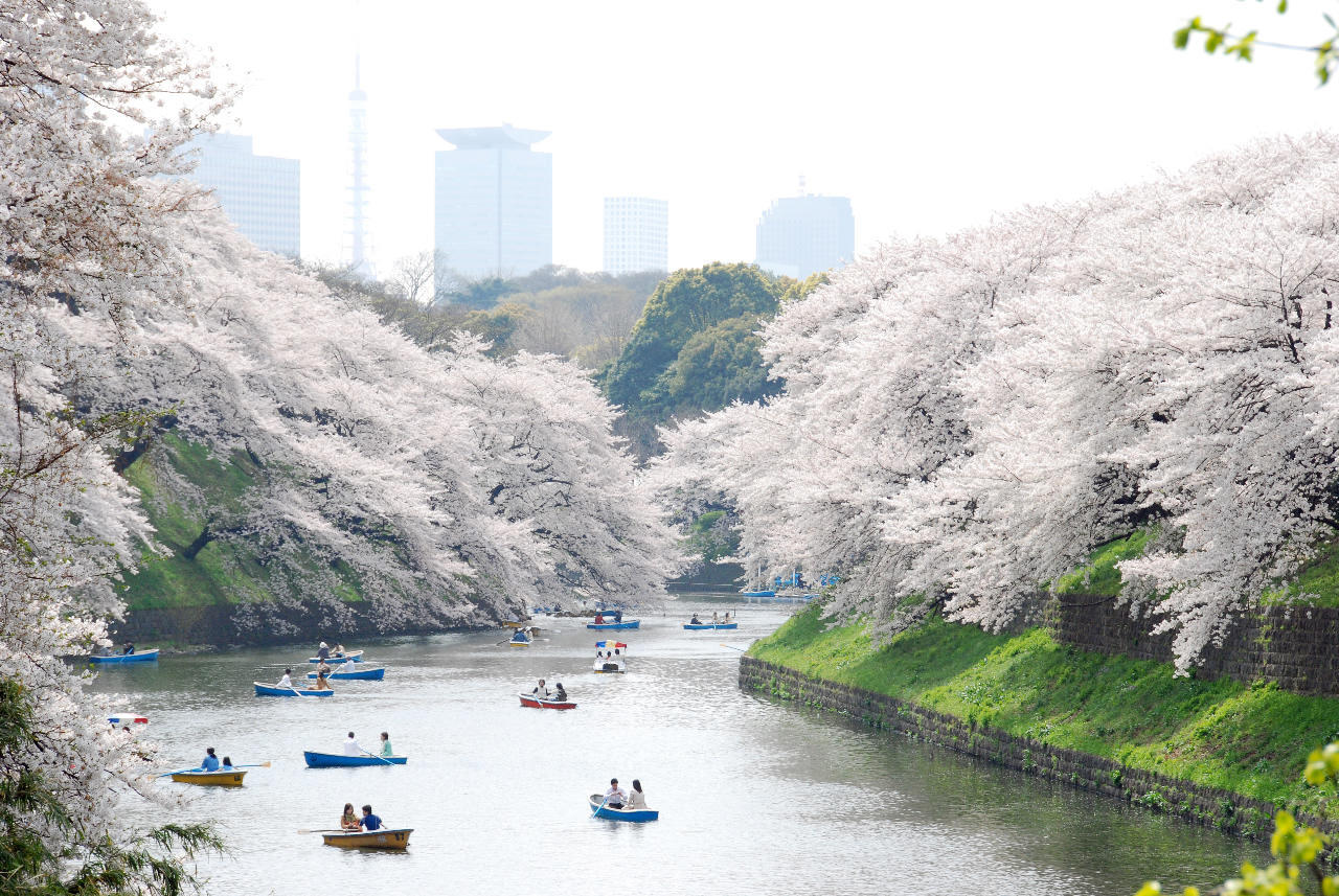 Que peut-on découvrir en visitant chaque quartier tokyoïte ?