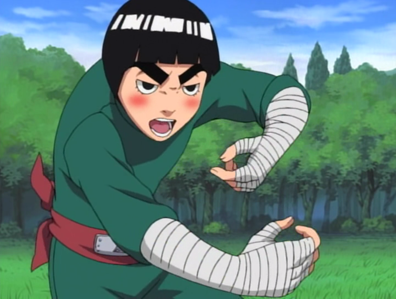 Quels sont les sports de combat du Japon ?