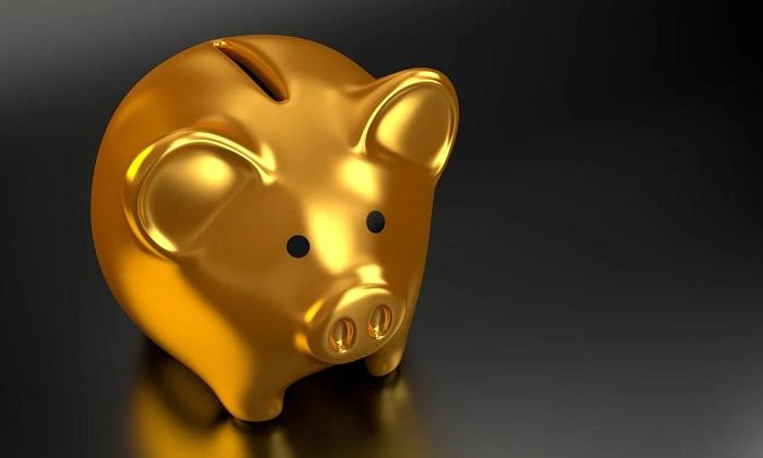 Quel abonnement choisir pour Zoom ?