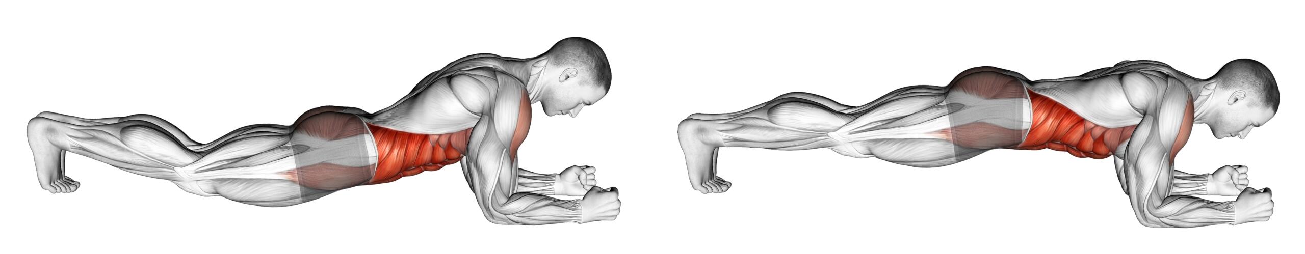 homme en posture de planche sur les avant bras