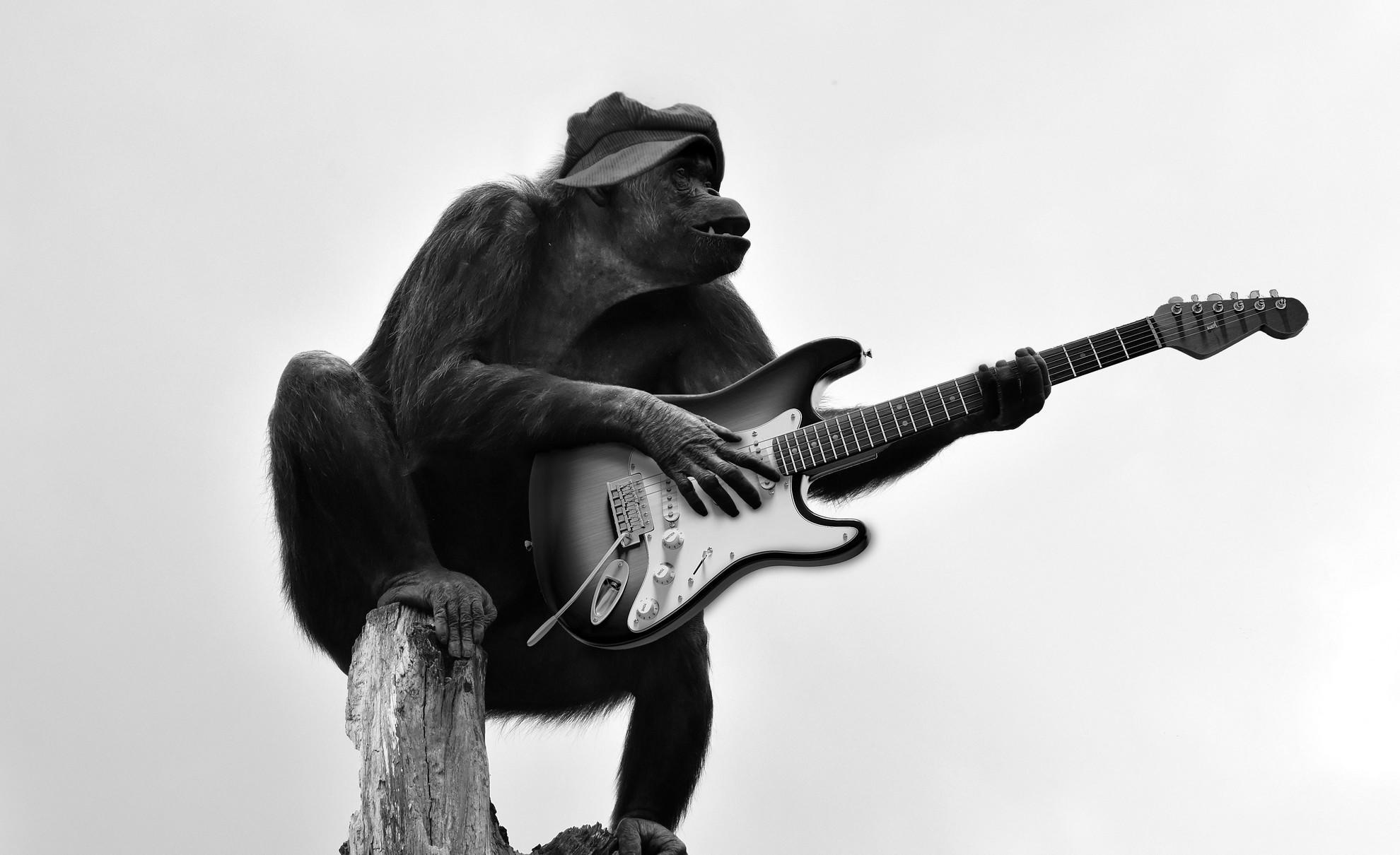 Quel modèle de guitare choisir pour débuter la musique ?