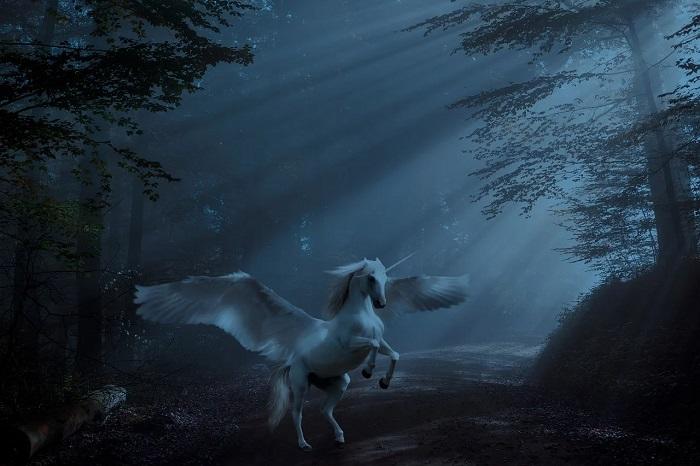 Pourquoi dessiner une licorne ?