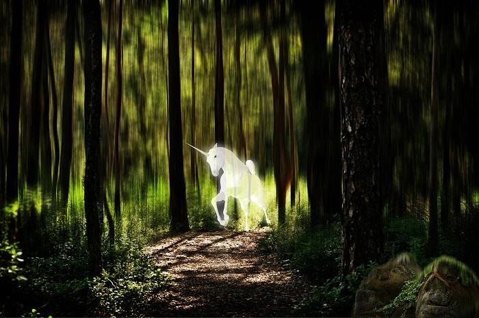 Comment reconnaître une licorne ?