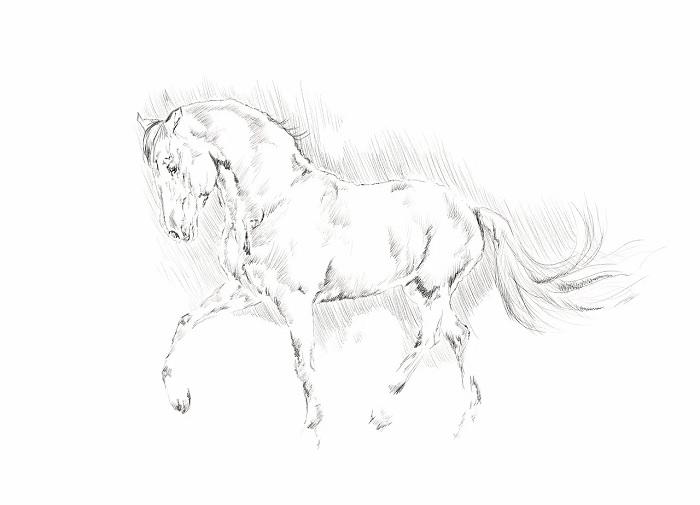 Comment faire un dessin de cheval ?