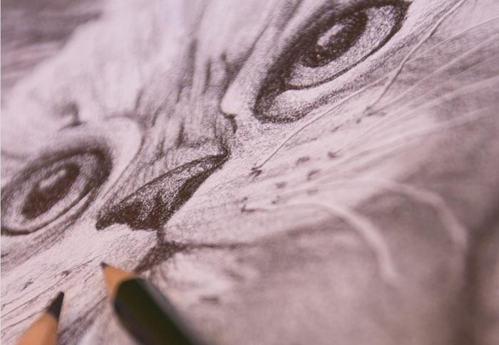 Par où commencer pour dessiner un chat réaliste ?