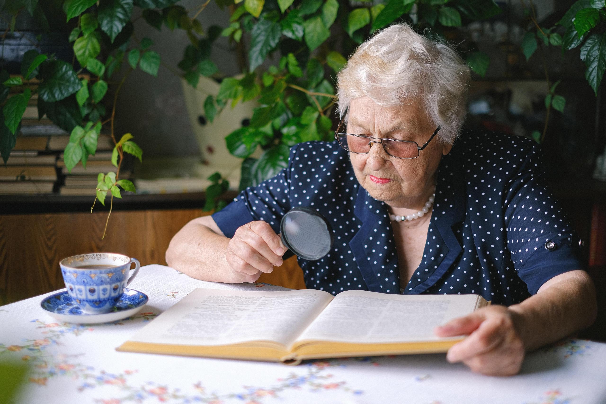 Quelles sont les options d'étude pour les seniors ?