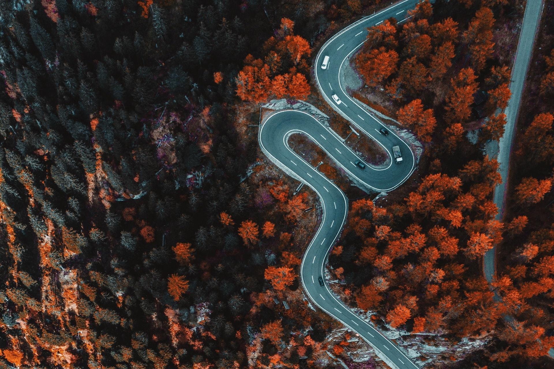 Quel est le tarif du permis en ligne ?