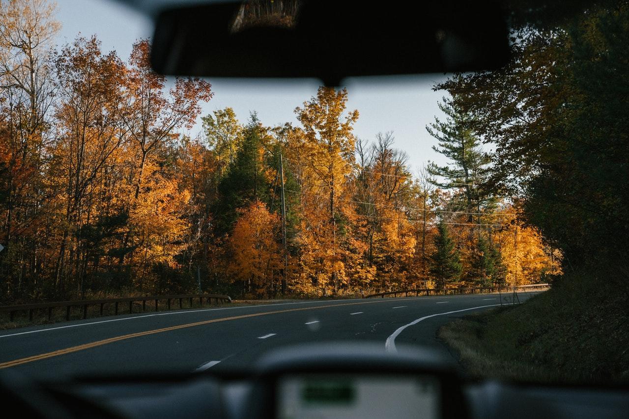 Apprenez à conduire à distance !
