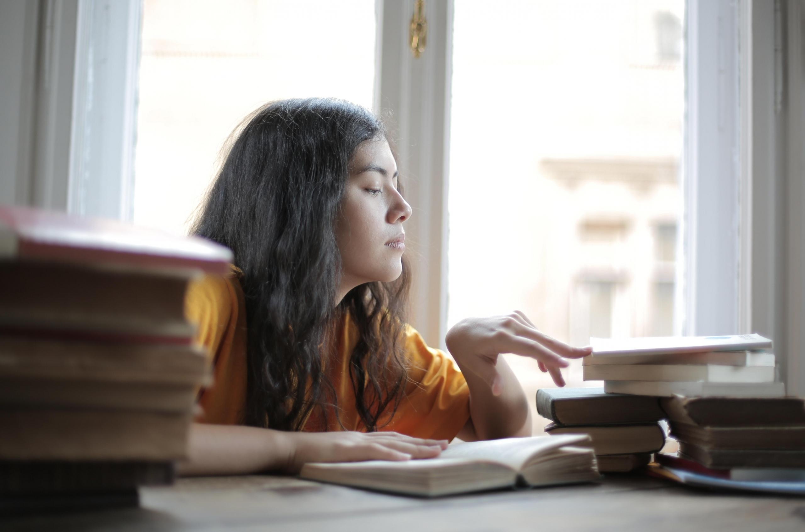 Quels sont les points examinés par le jury ?