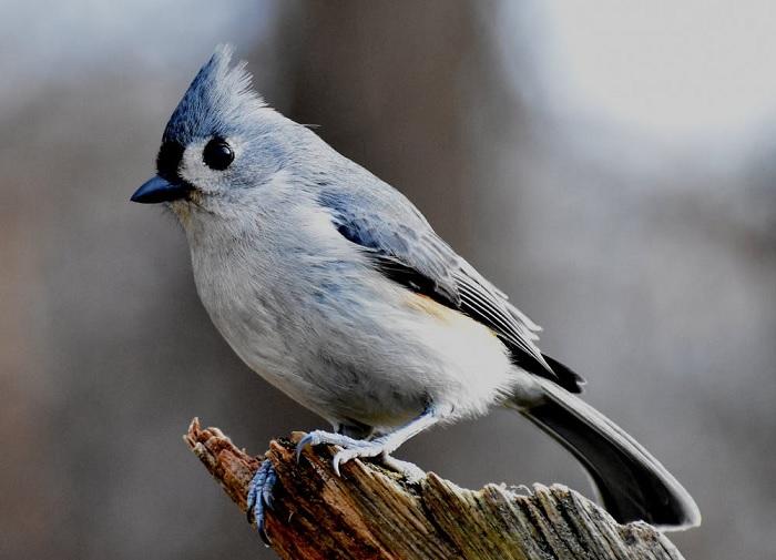 Comment utiliser internet pour comprendre la nature ?