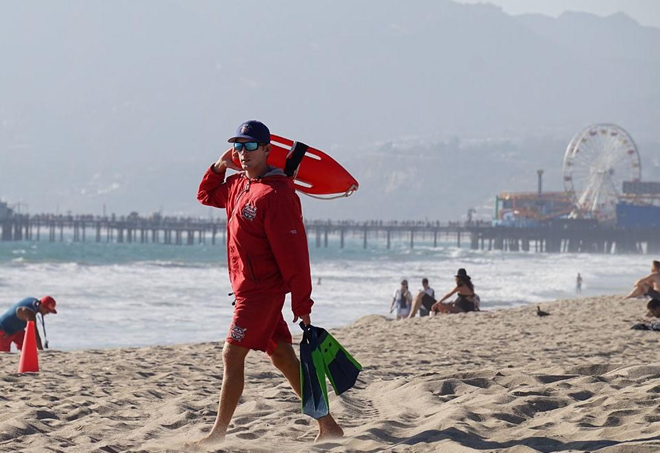 Les maîtres nageurs à la surveillance des plages