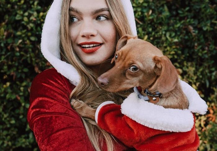 Où trouver un patron de couture de noël ?