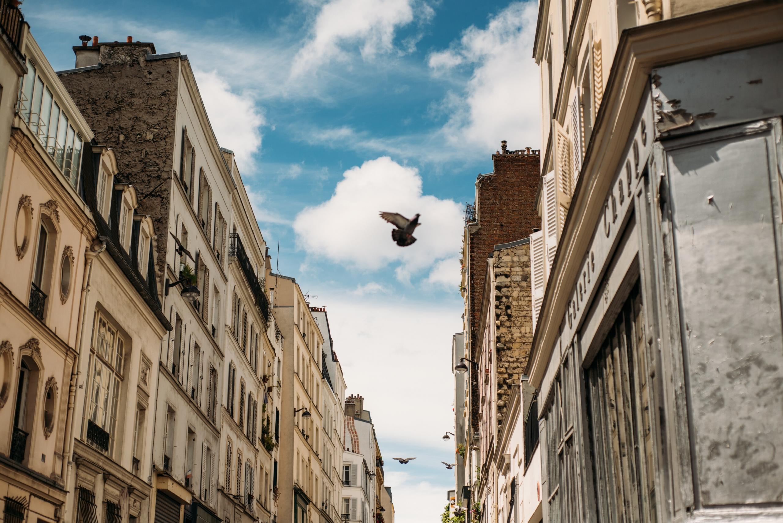 Combien coûte un cours de méditation en France ?