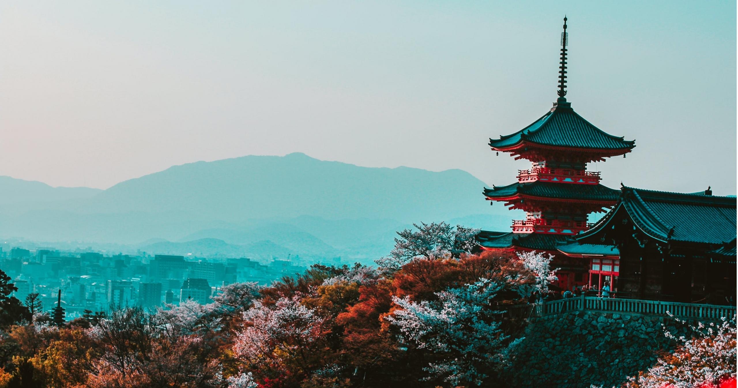 Comment se préparer à un voyage au Japon ?