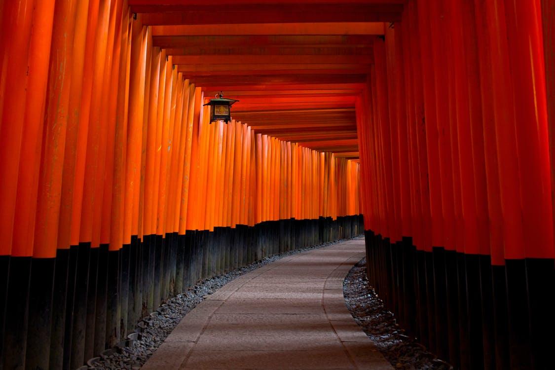 Quand voyager au Japon ?